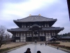 nara